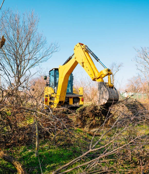 Land Clearing and Grubbing